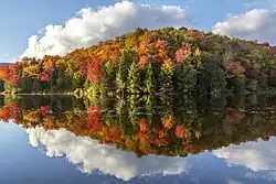 A lakeside view of an autumnal forest; the lake is so still the clouds and forest can be seen reflected in it