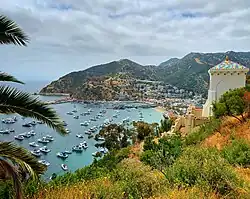 Avalon Harbor from Chimes Tower