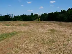 Greenwich Park Anglo-Saxon Barrows