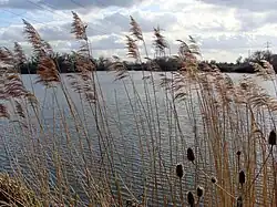 Walthamstow Reservoir