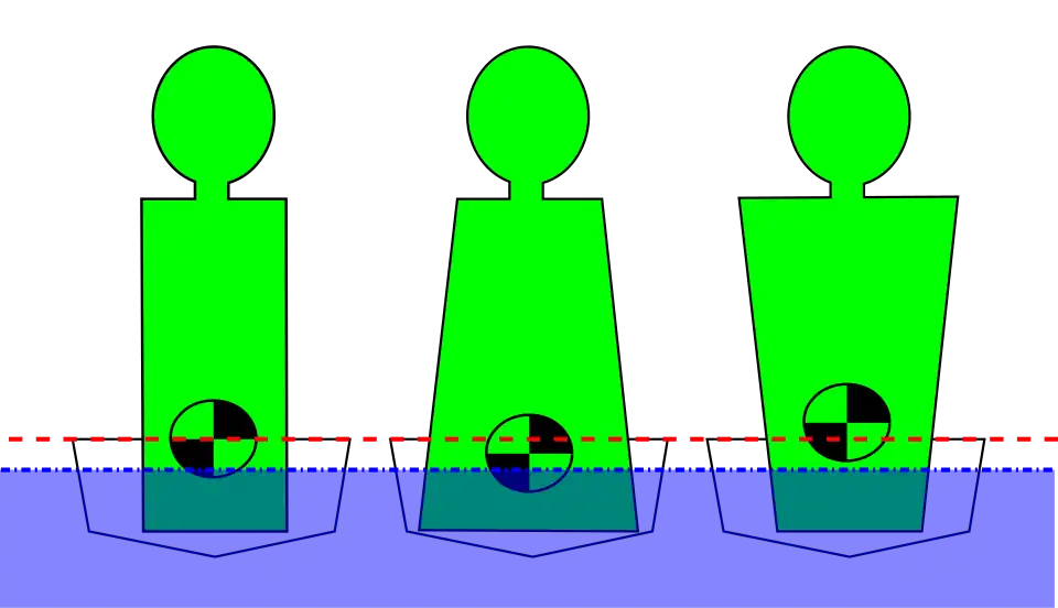 The position of the center of gravity is affected by body shape. The lower the CoG, the higher the primary stability.