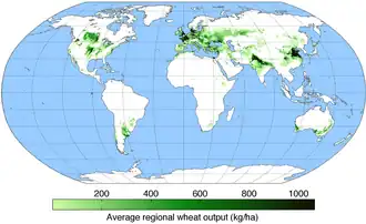Wheat-growing areas of the world