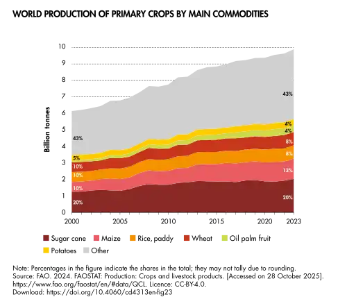 Maize (pink strip) is the second most widely produced primary crop, after sugarcane, and the first among grain crops.[83]