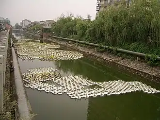 Aquatic plants in floating containers