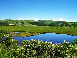 Yashima Wetland in Kirigamine Hill