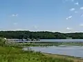 A tree-lined lake with lily pads and four pontoon boats at a dock in the distance