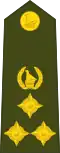 Brigadier (Zimbabwe National Army)[30]