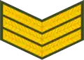 Sergeant (Lesotho Army)[76]