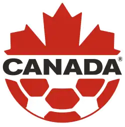 Shirt badge/Association crest