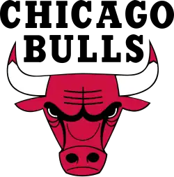 Chicago Bulls logo