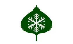 Flag of Aspen, Colorado