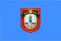 Flag of Tunis