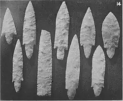 Arrowheads from Narmer's tomb, Petrie 1905, Royal Tombs II, pl. IV.14. According to Dreyer,[34] these arrowheads are probably from the tomb of Djer, where similar arrowheads were found.[140]