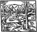 Hunting the hart (16th Century) from Turbervile, copied from Jaques du Fouilloux.