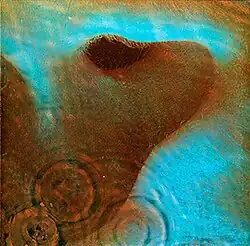 The lower half of a right ear underwater.