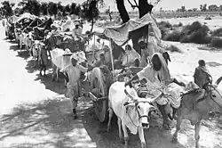Rural Sikhs in a long oxcart train headed towards India, 1947.