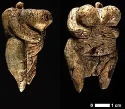Two views of the Venus of Hohle Fels figurine, 40,000 BC – 35,000 BC (6&nbsp;cm (2.4&nbsp;in) tall), one of the earliest known, undisputed examples of a depiction of a human being