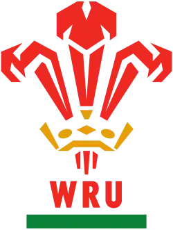 Shirt badge/Association crest