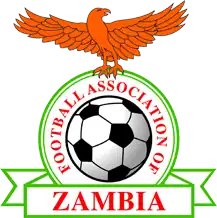 Shirt badge/Association crest