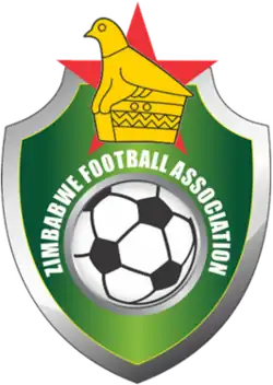Shirt badge/Association crest
