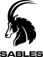 Shirt badge/Association crest